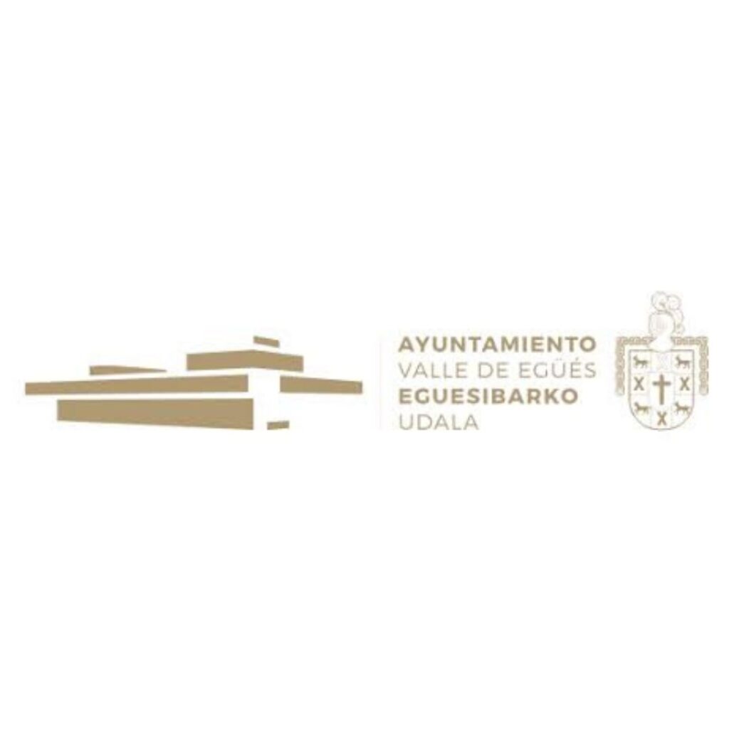 Logo Ayuntamiento Valle de Egues